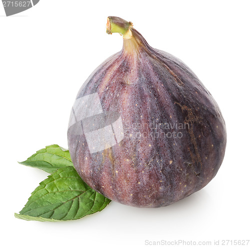 Image of Figs with green leaf