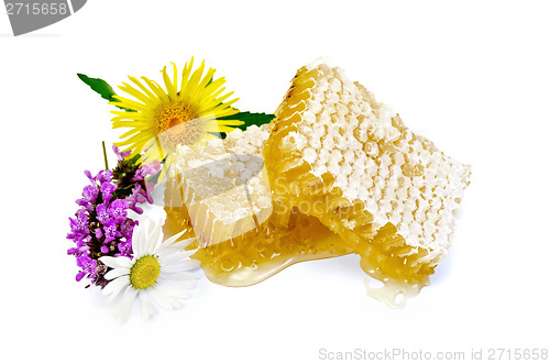 Image of Honeycomb with flowers