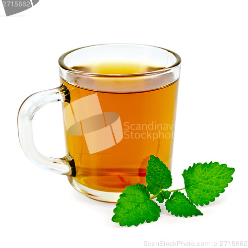 Image of Herbal tea with melissa in a mug