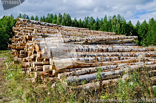 Image of Trestle harvested wood