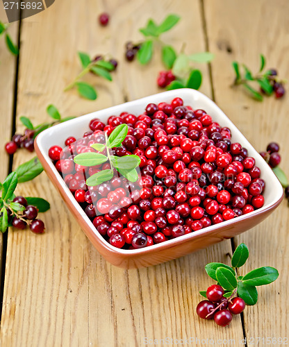 Image of Lingonberry ripe in bowl on board