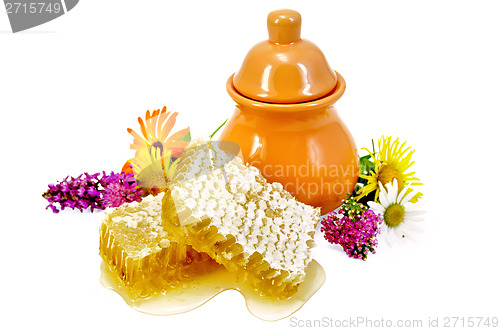 Image of Honeycomb with pitcher and flowers