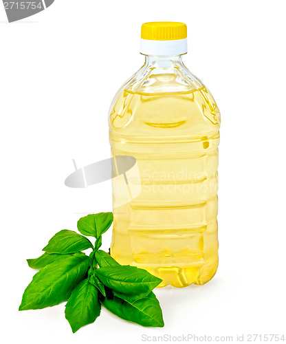 Image of Vegetable oil in a bottle with basil