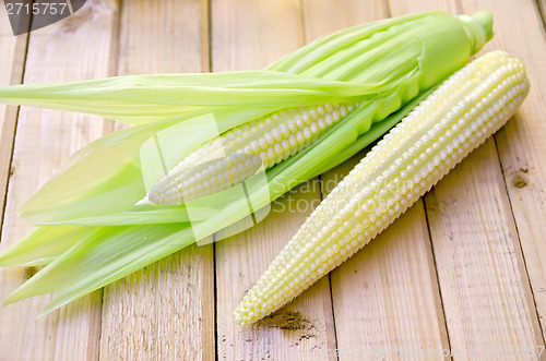 Image of Corncob on a blackboard