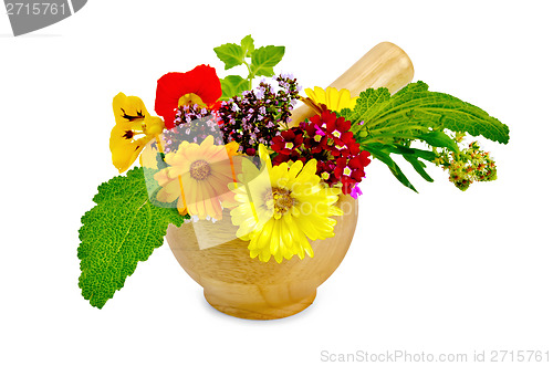 Image of Herbs and flowers in a mortar