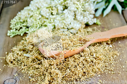 Image of Herbal tea of meadowsweet on spoon