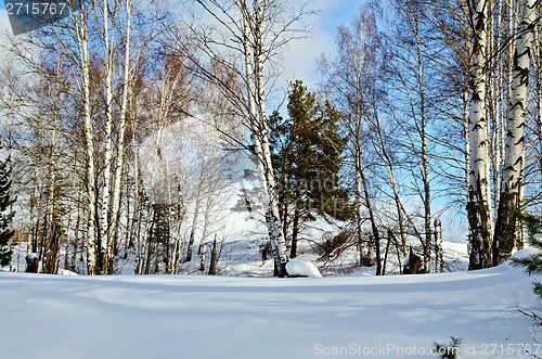 Image of Winter landscape 2