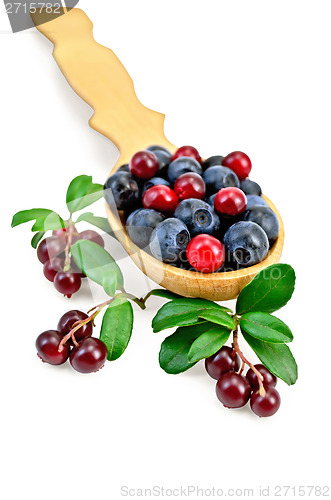 Image of Blueberries and cowberry in a spoon with leaf
