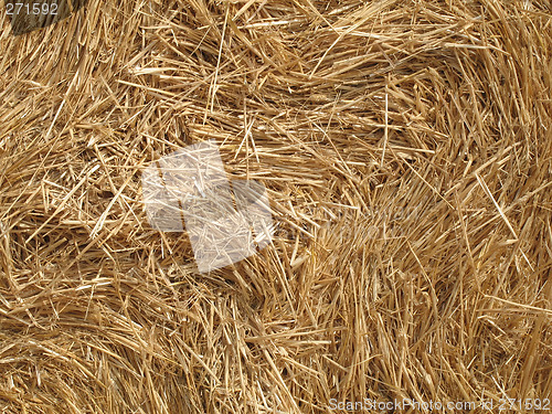 Image of Close-up of a straw bale