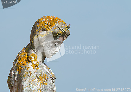 Image of Statue with Lichen