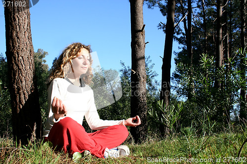 Image of Yoga in nature