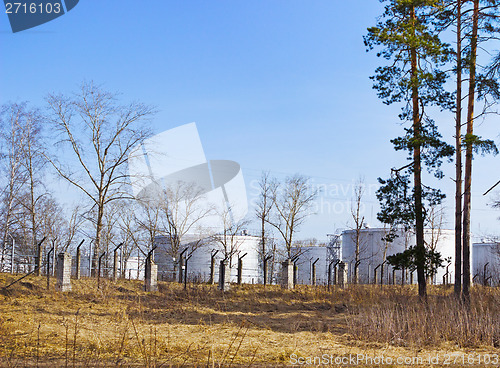 Image of Storage oil , hidden in the woods