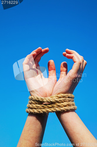 Image of Hands tied up with rope