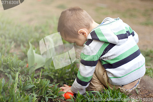 Image of Little Boy With Easter Eggs