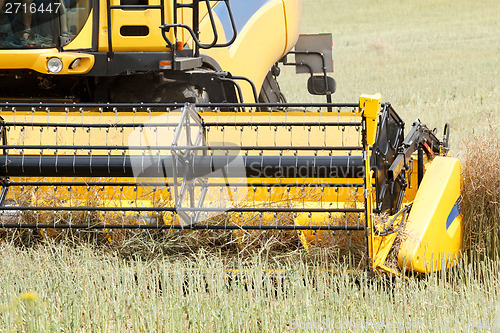 Image of combine harvesting rape