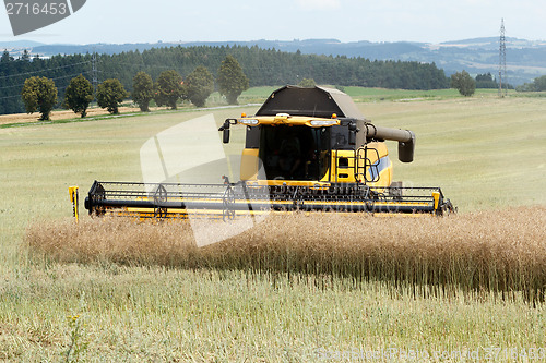 Image of combine harvesting rape