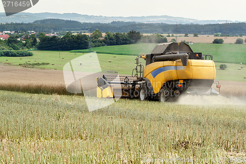 Image of combine harvesting rape