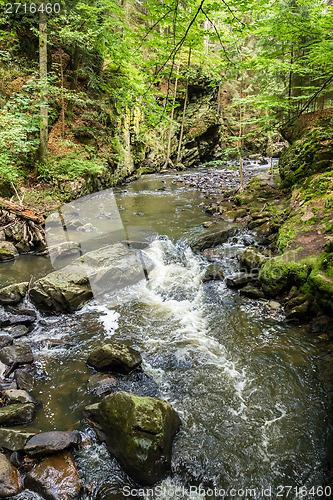 Image of mountain creek doubrava 