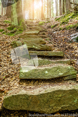 Image of Stone staircase leading up with sunlight