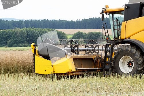 Image of combine harvesting rape