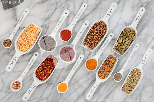 Image of Spice and Herb Measurement