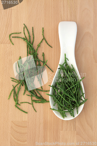 Image of Samphire