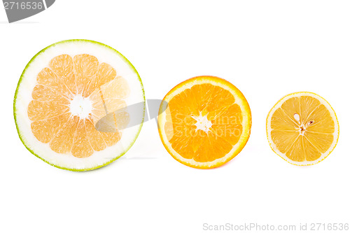 Image of Sweetie, orange and lemon