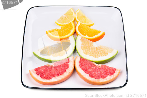 Image of Grapefruit, orange, sweetie and lemon