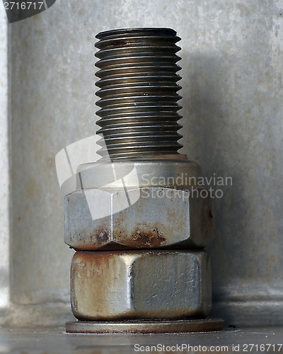 Image of Bolt