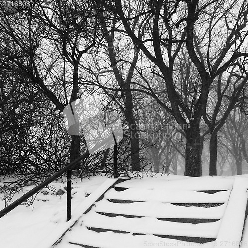 Image of Park during snowstorm