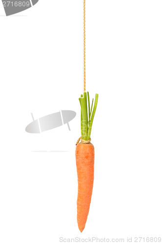 Image of Carrot on String