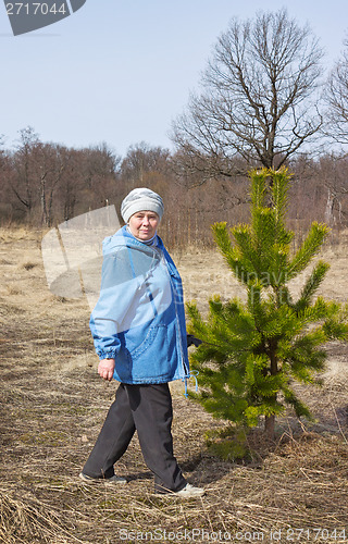 Image of Elderly beautiful woman in a spring forest