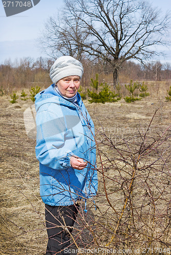 Image of Elderly woman in a spring forest