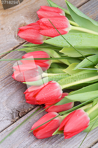 Image of Spring Tulips