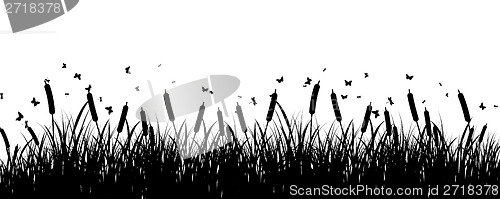 Image of meadow background