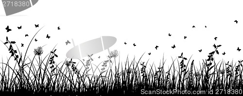 Image of meadow background