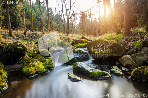 Image of Falls on the small mountain river in a wood