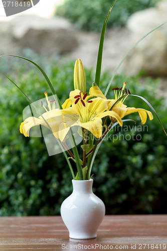 Image of flowering yellow lily