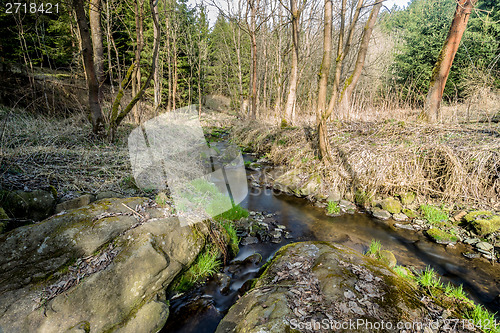 Image of Falls on the small mountain river in a wood