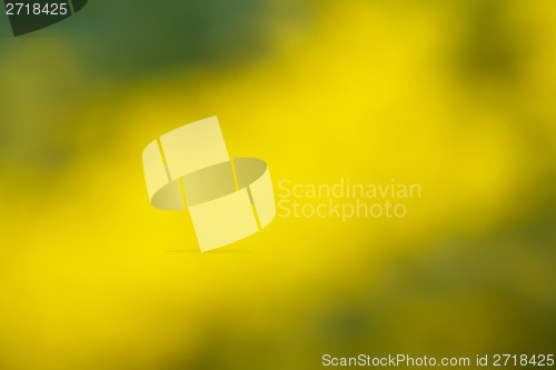 Image of Beautiful green and yellow Bokeh