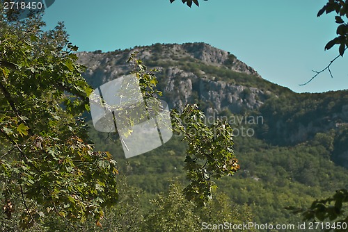 Image of top of the canyon