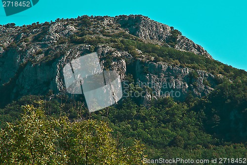 Image of top of the canyon