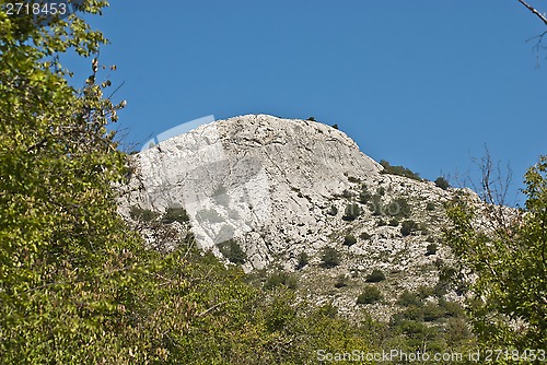 Image of top of the canyon