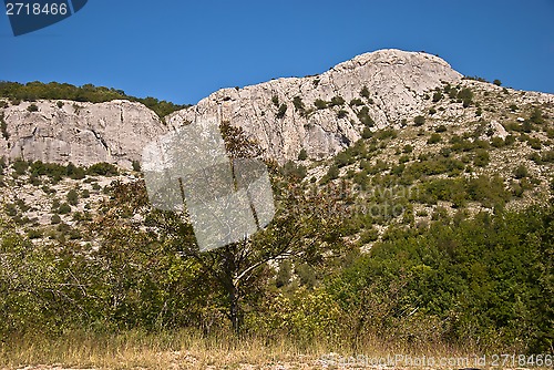 Image of top of the canyon