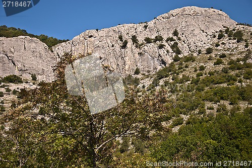 Image of top of the canyon