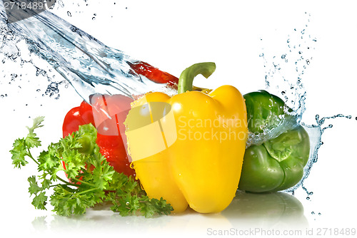 Image of red, yellow, green pepper and parsley with water splash isolated