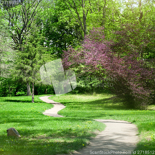 Image of green park in spring