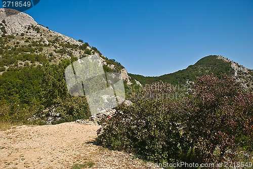 Image of observation platform "Aquiline flight"