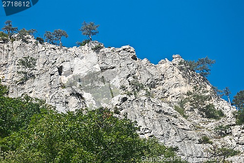 Image of top of the canyon