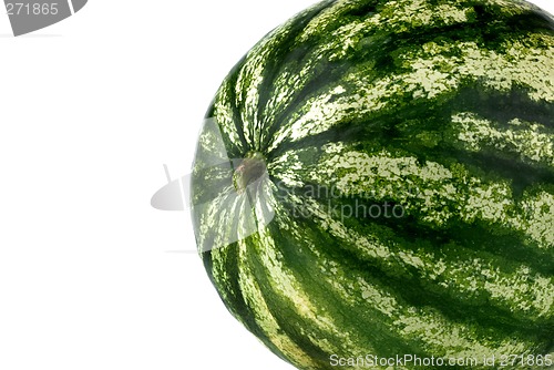 Image of Watermelon